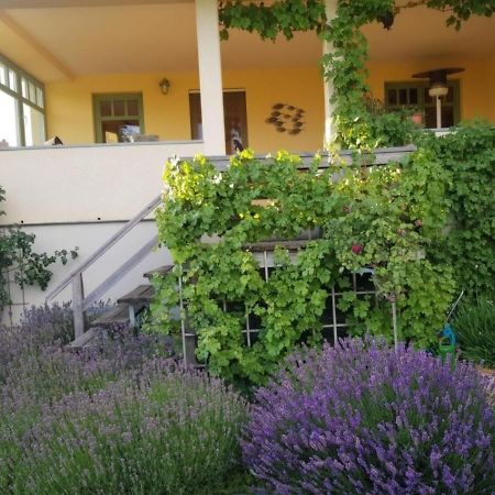 Ferienhaus Schiller Waren  Luaran gambar