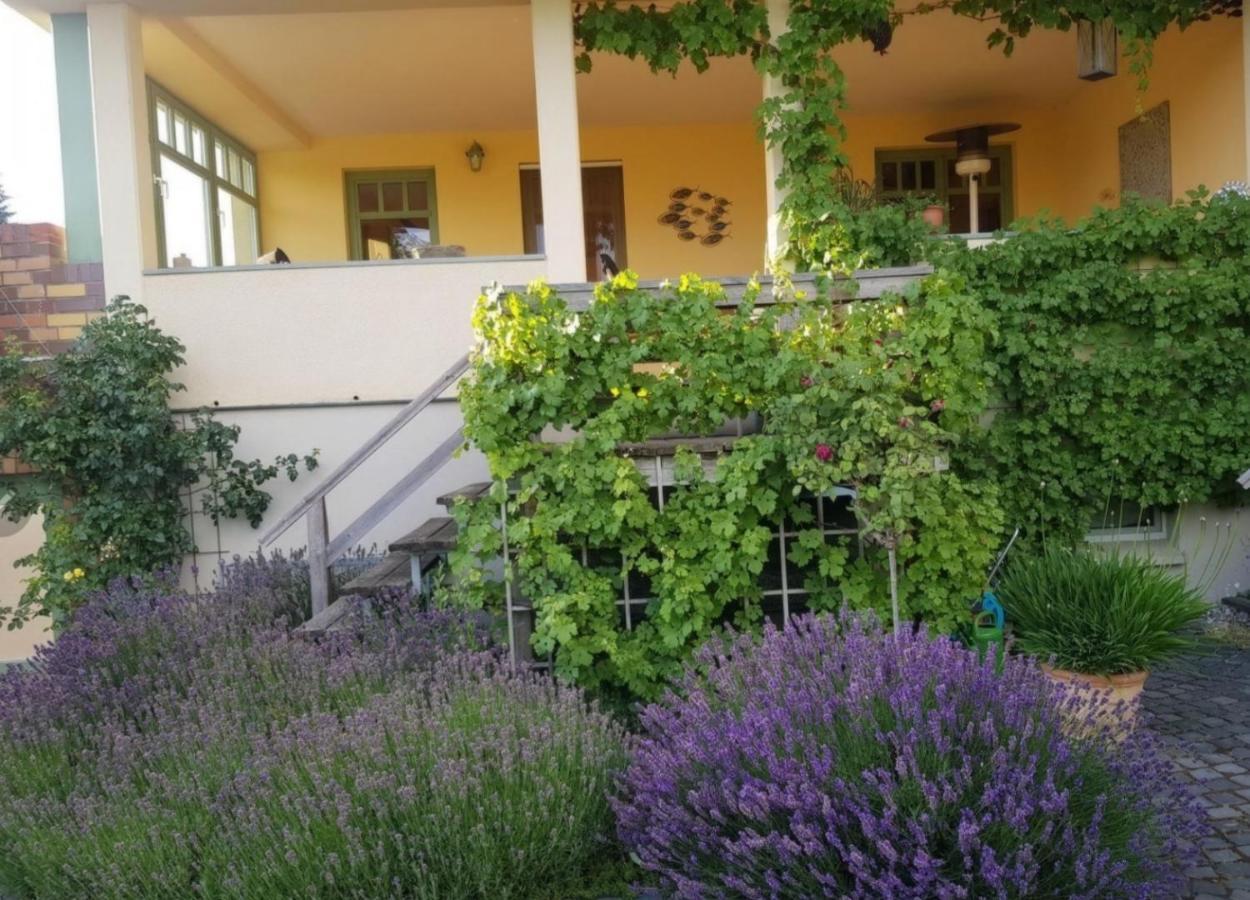 Ferienhaus Schiller Waren  Luaran gambar